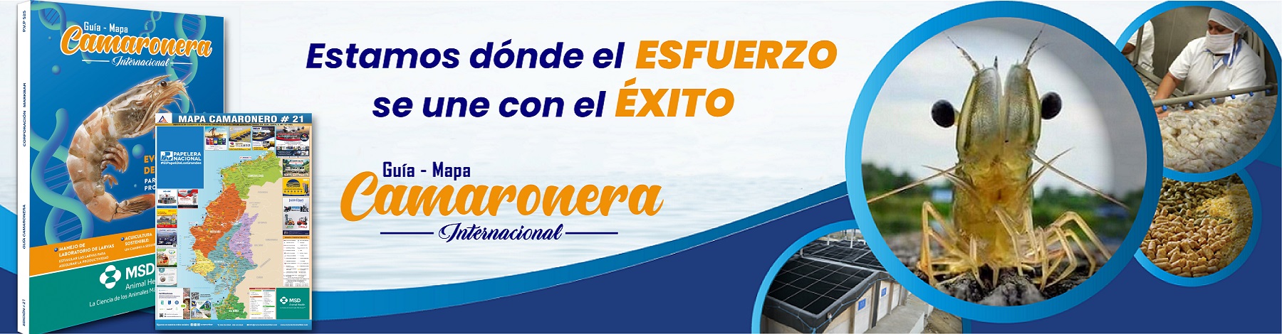 Revista Camaronera, camaron, corporacion markbar, acuicola 